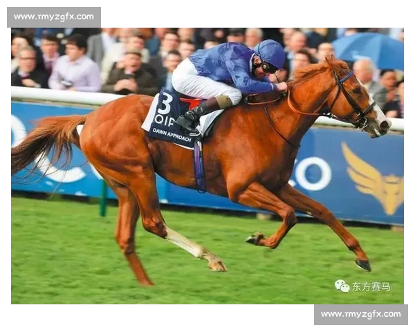 极速狂飙惊险世界赛马盛宴精彩瞬间全记录